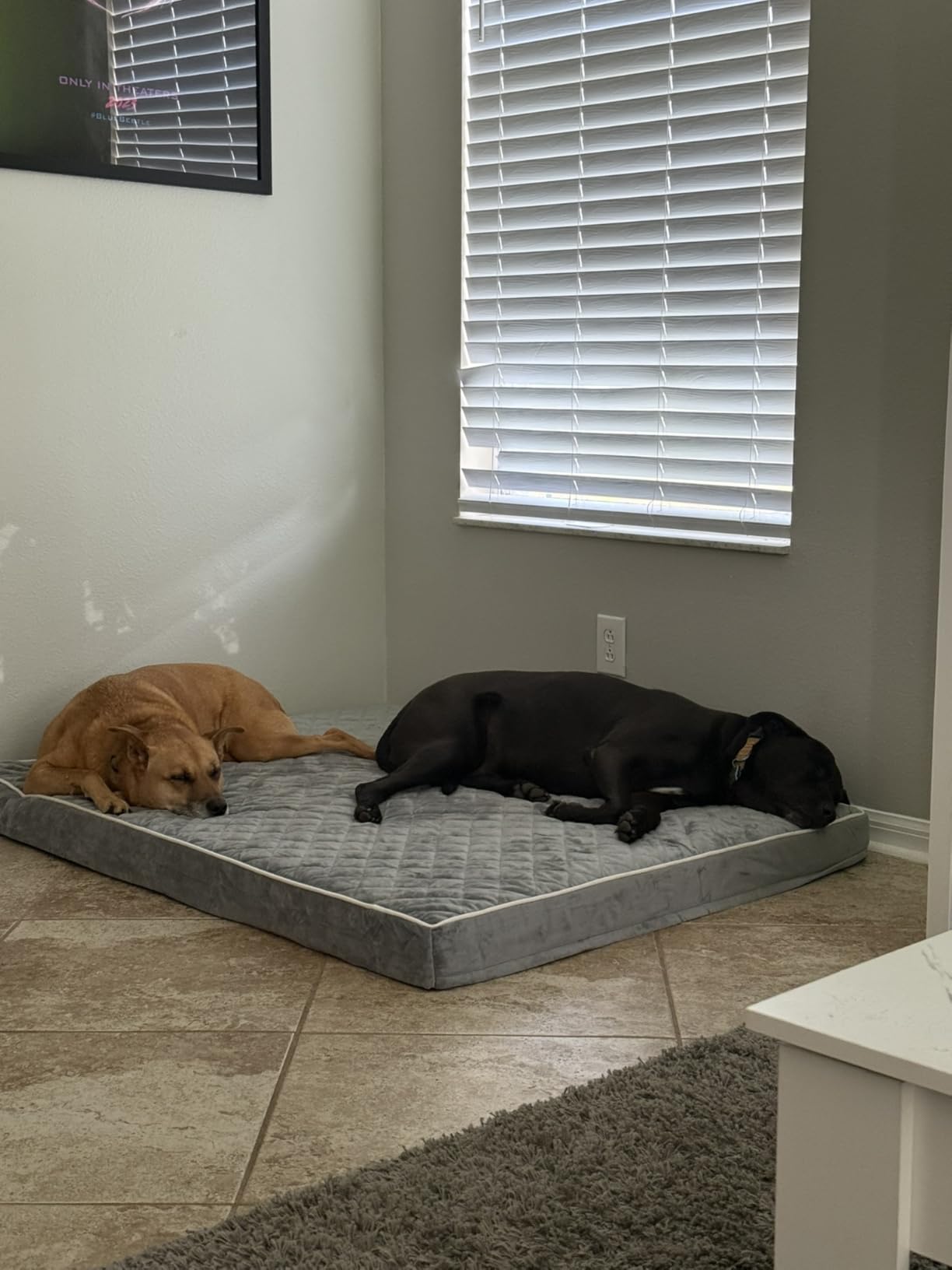 Orthopedic Quilting Dogs Pillow Bed