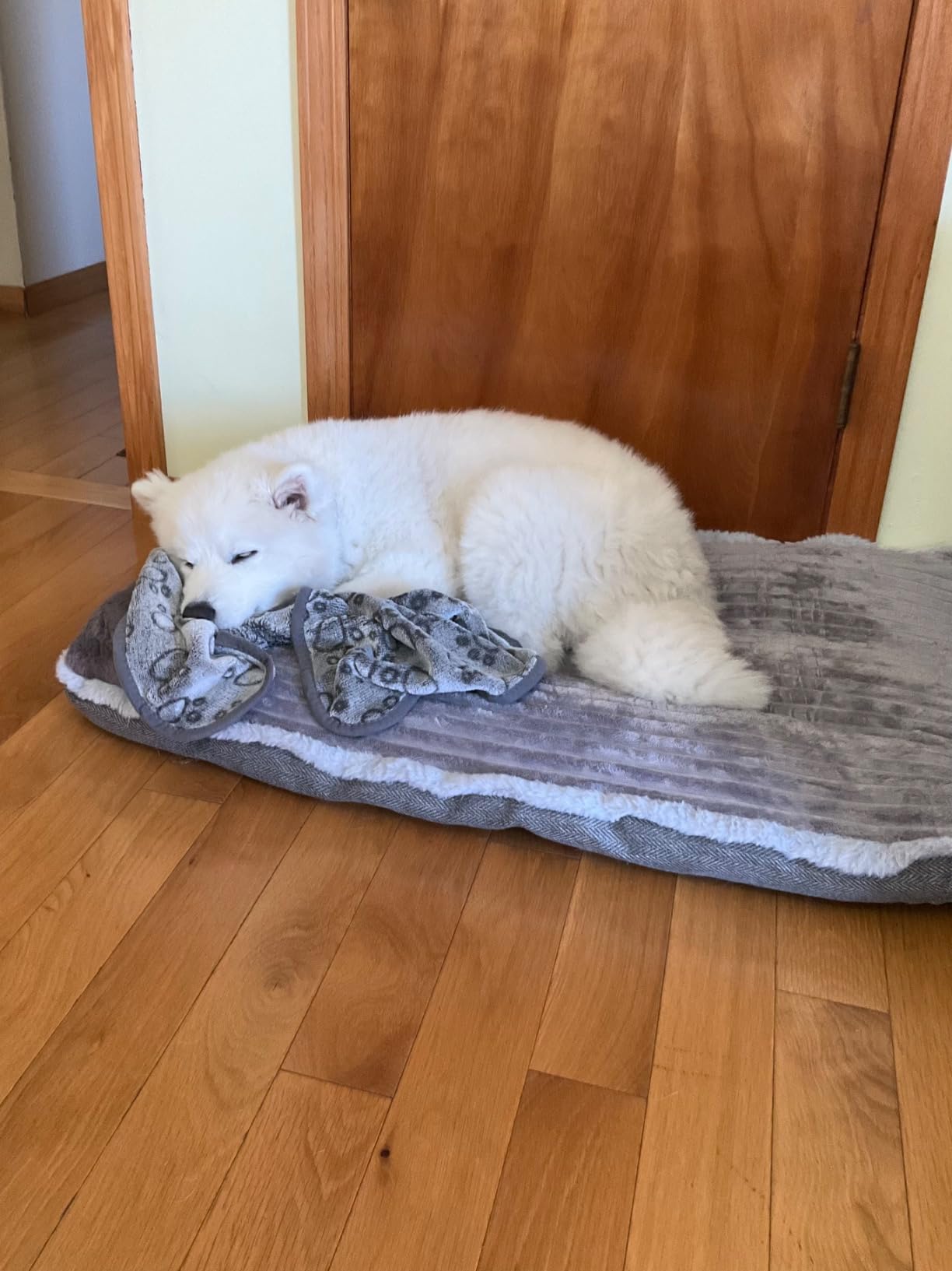 Crate Kennel Dog Mattress with Pillow