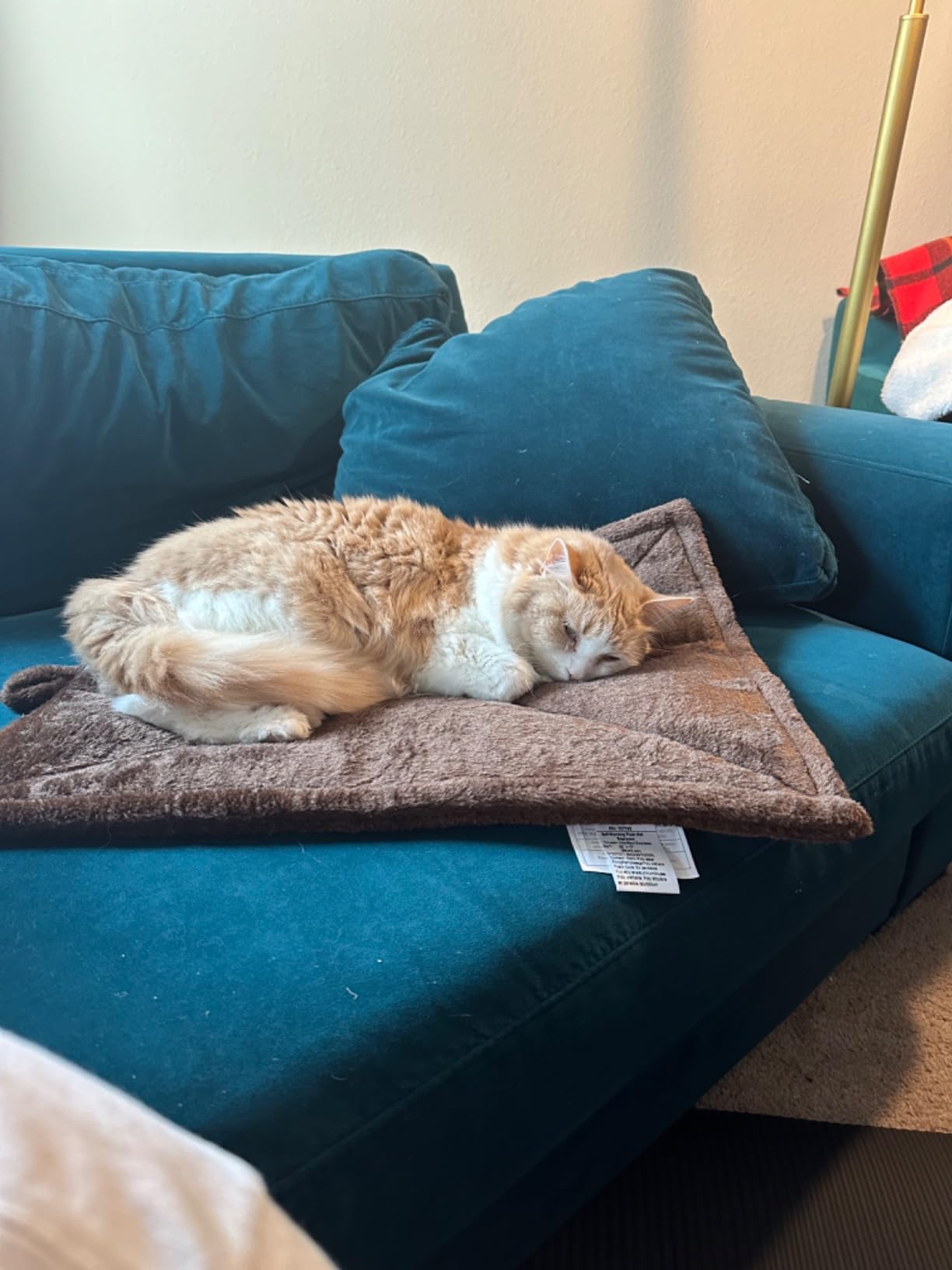 Self-Warming Cat Dog Quilted Pillow Bed