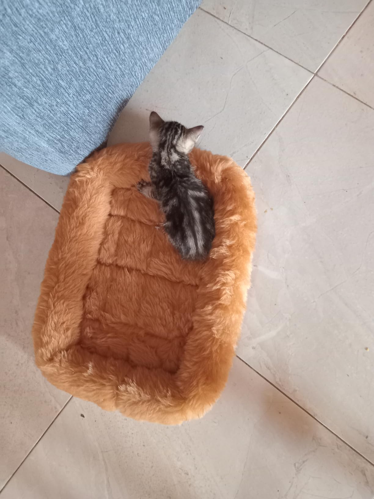 Cinnamon Faux Fur Dog Cat Bolster Bed