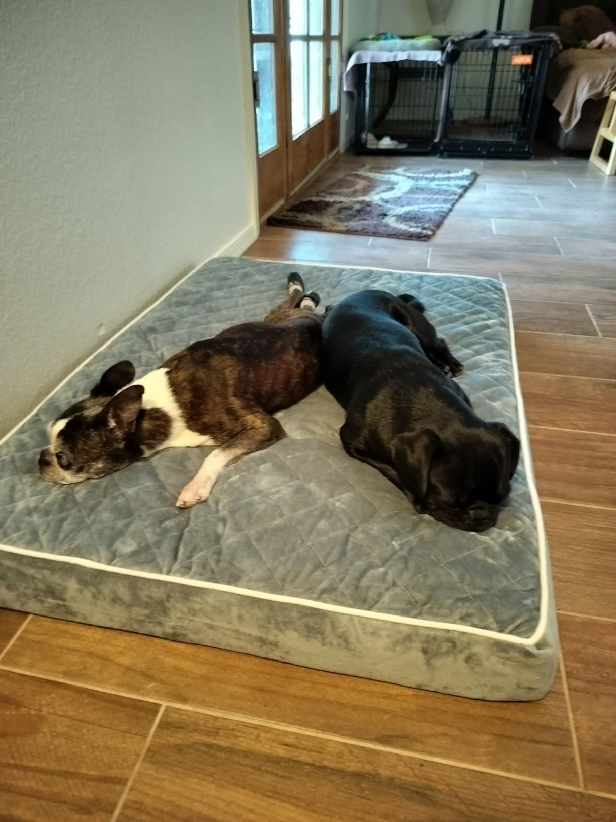 Orthopedic Quilting Dogs Pillow Bed