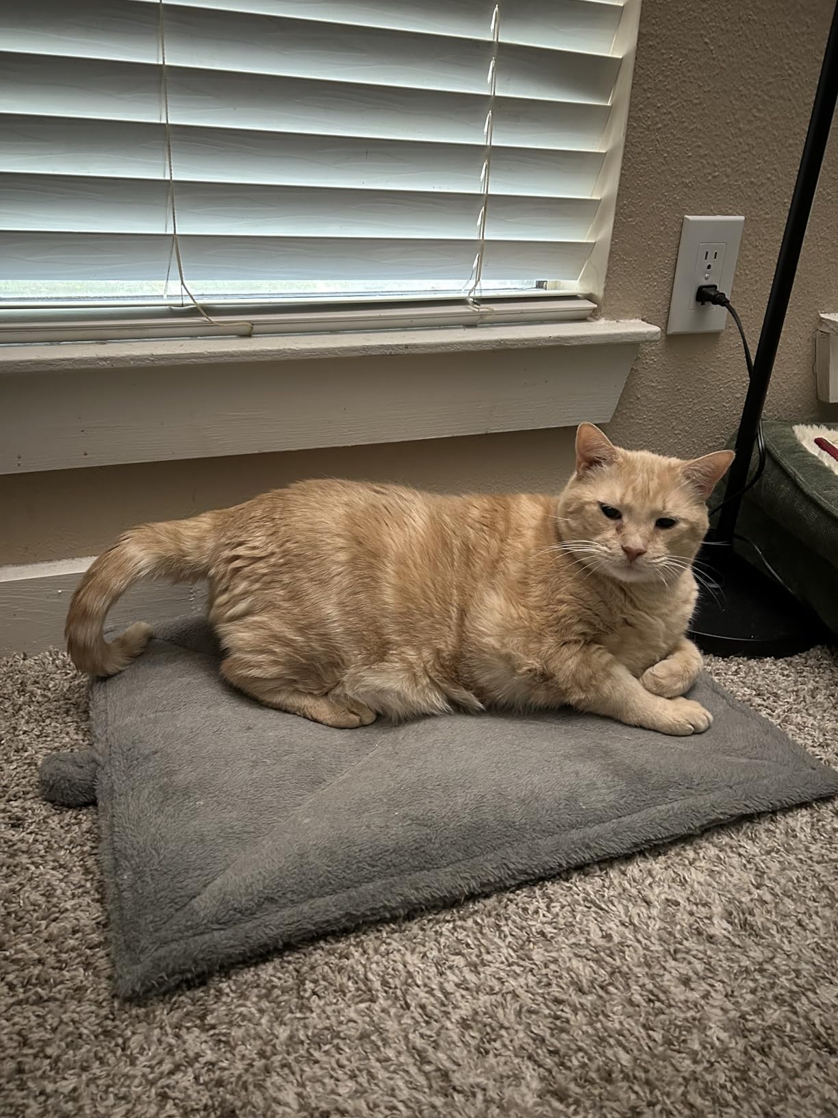 Self-Warming Cat Dog Quilted Pillow Bed