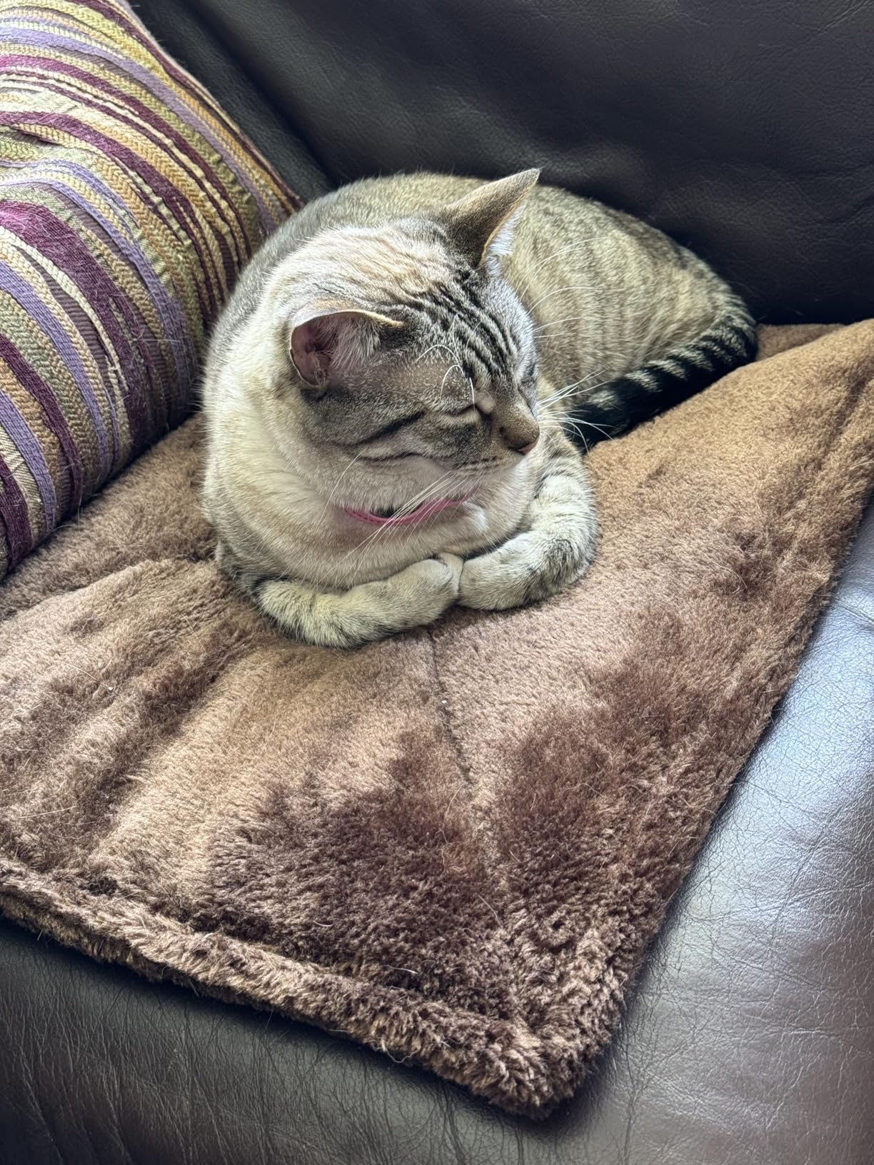 Self-Warming Cat Dog Quilted Pillow Bed