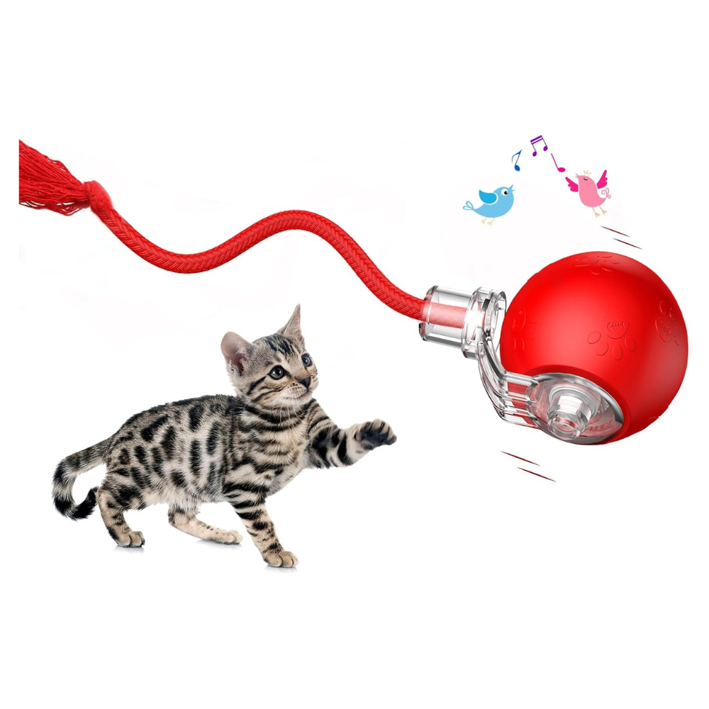 Automatic Rolling Ball Cat Toy