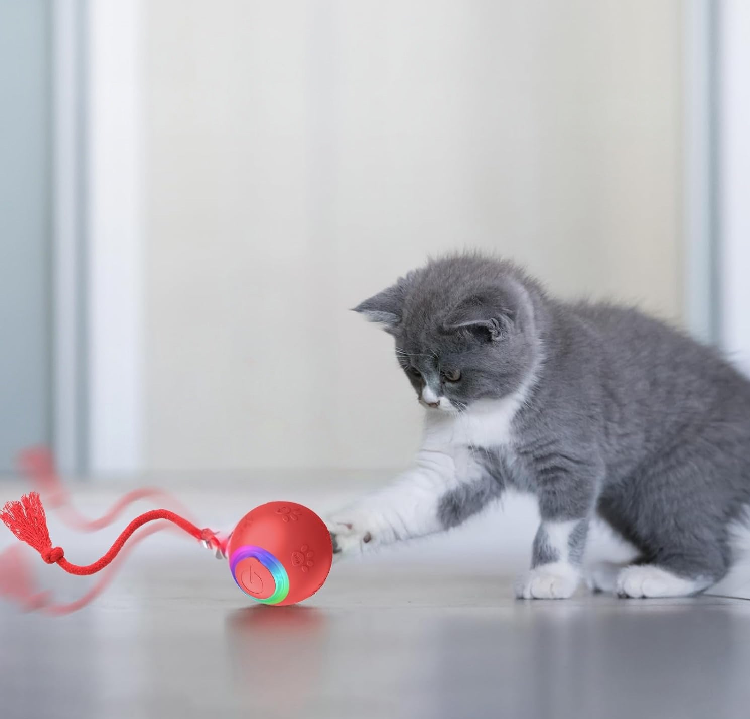 Cat Toys