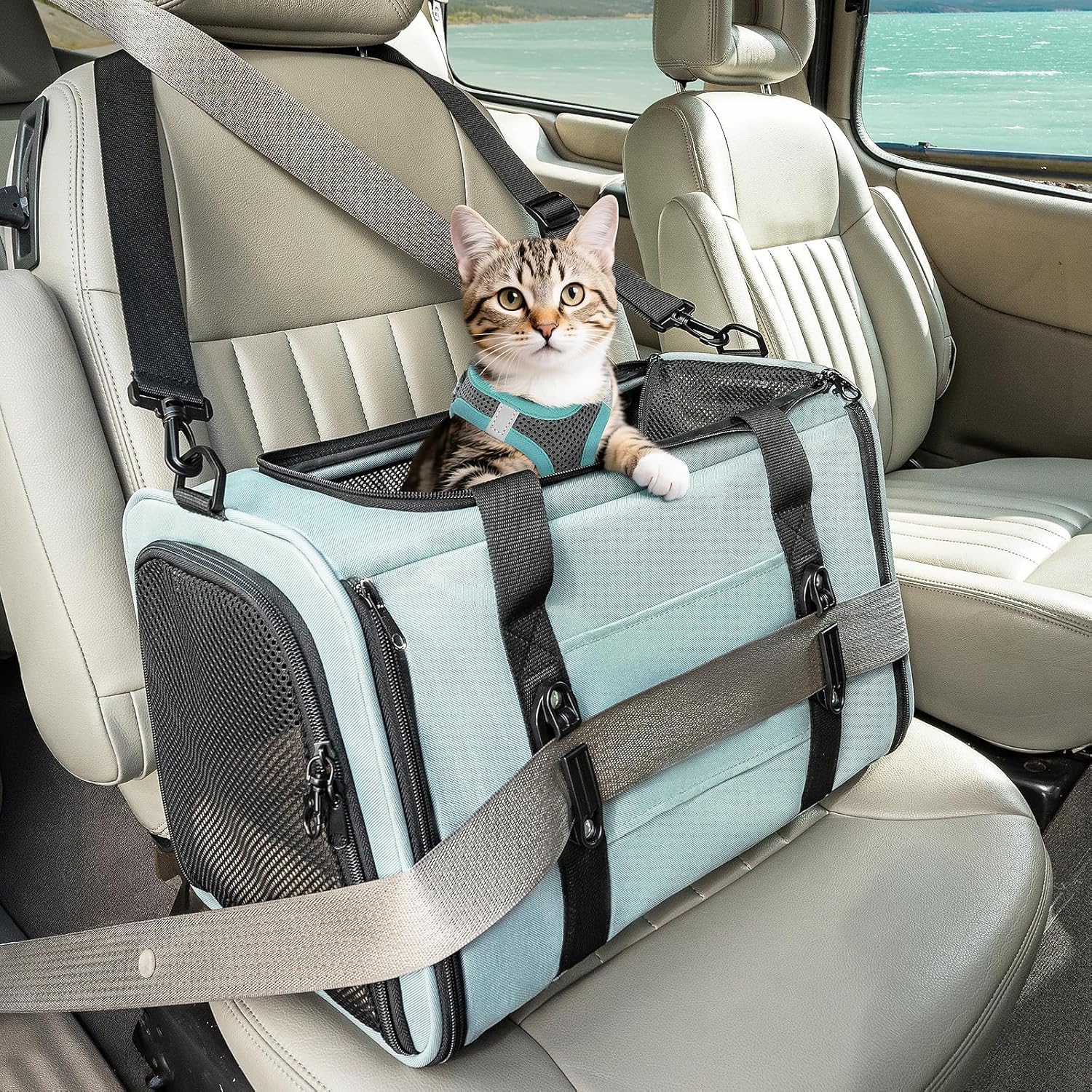 Pet Carriers