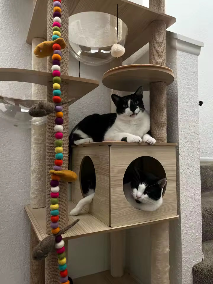 Multi-Level Cat Wooden Tree Condo