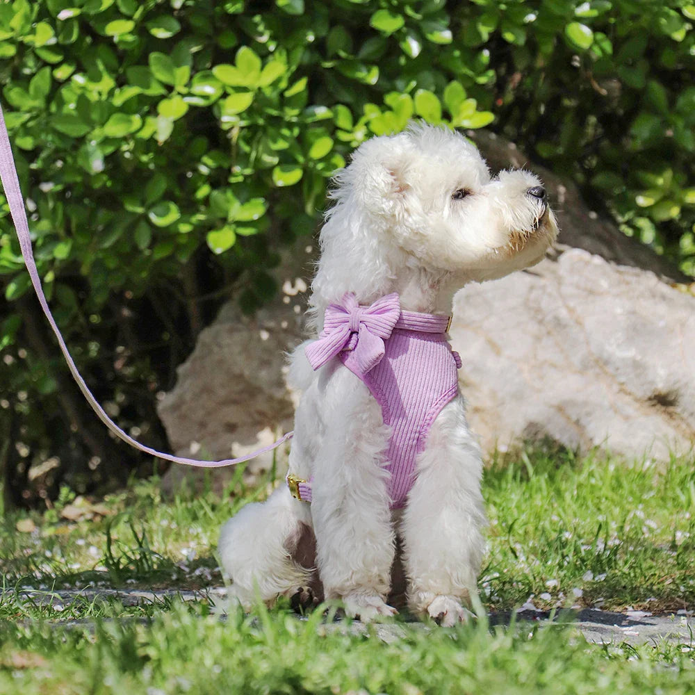 Breathable Dog Collar Harness Leash Set
