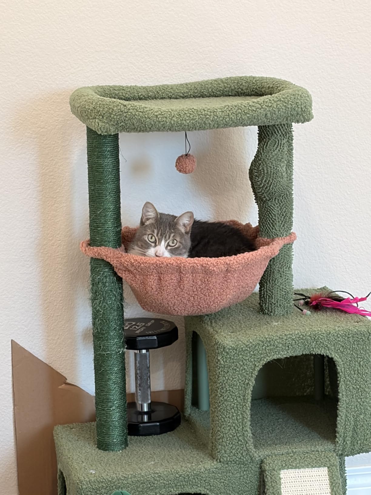 Cactus Cat Tree Tower with Twin Condo