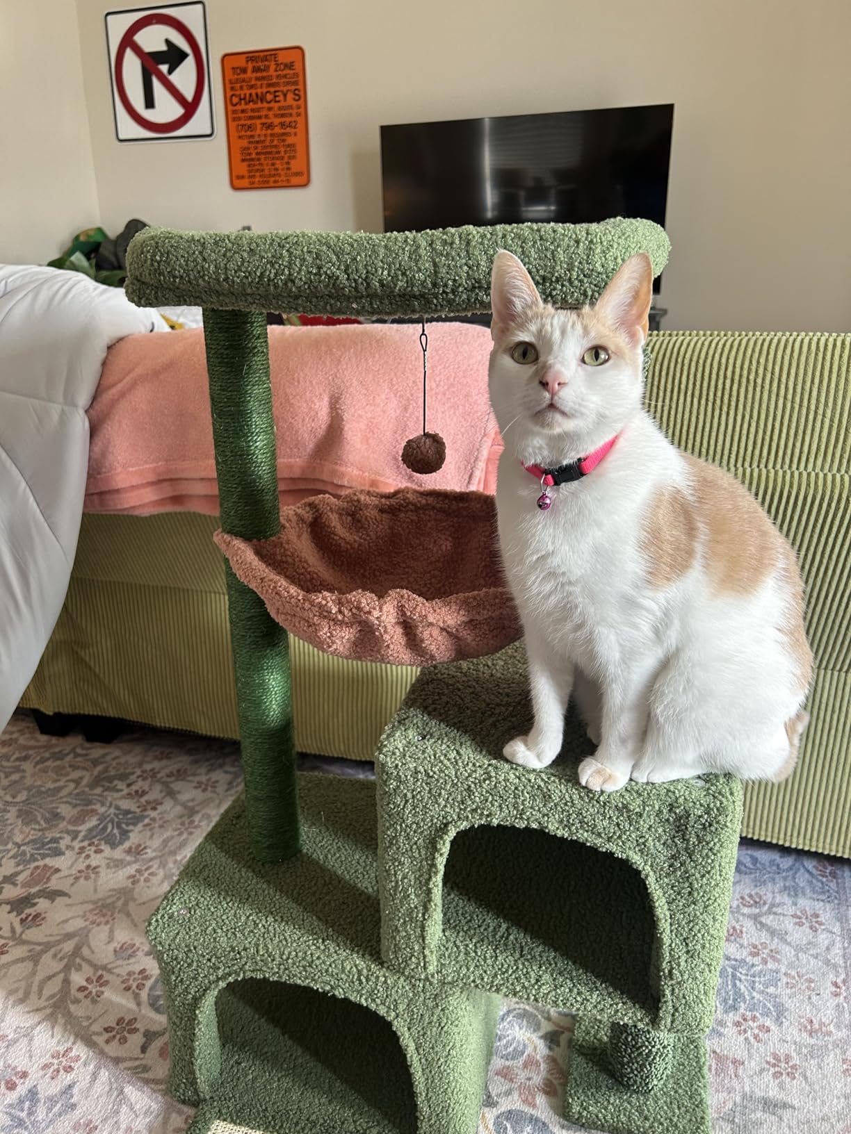 Cactus Cat Tree Tower with Twin Condo
