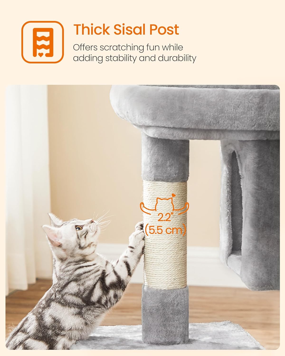 Cat 2 Caves Plush Condo