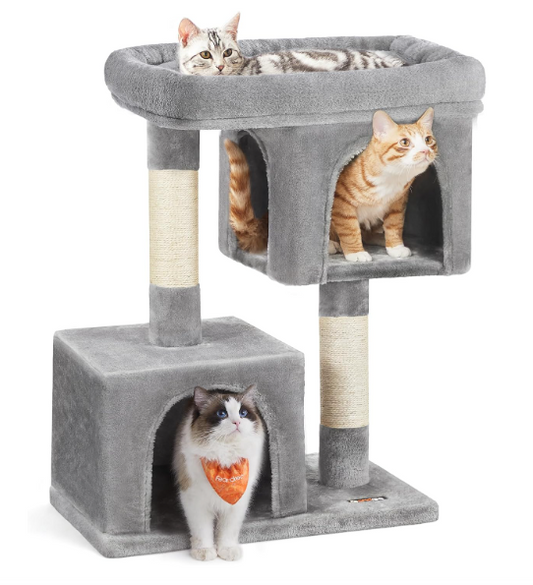 Cat 2 Caves Plush Condo