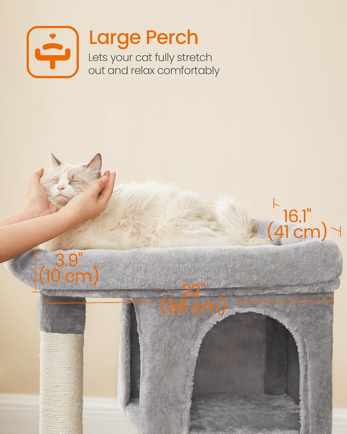Cat 2 Caves Plush Condo