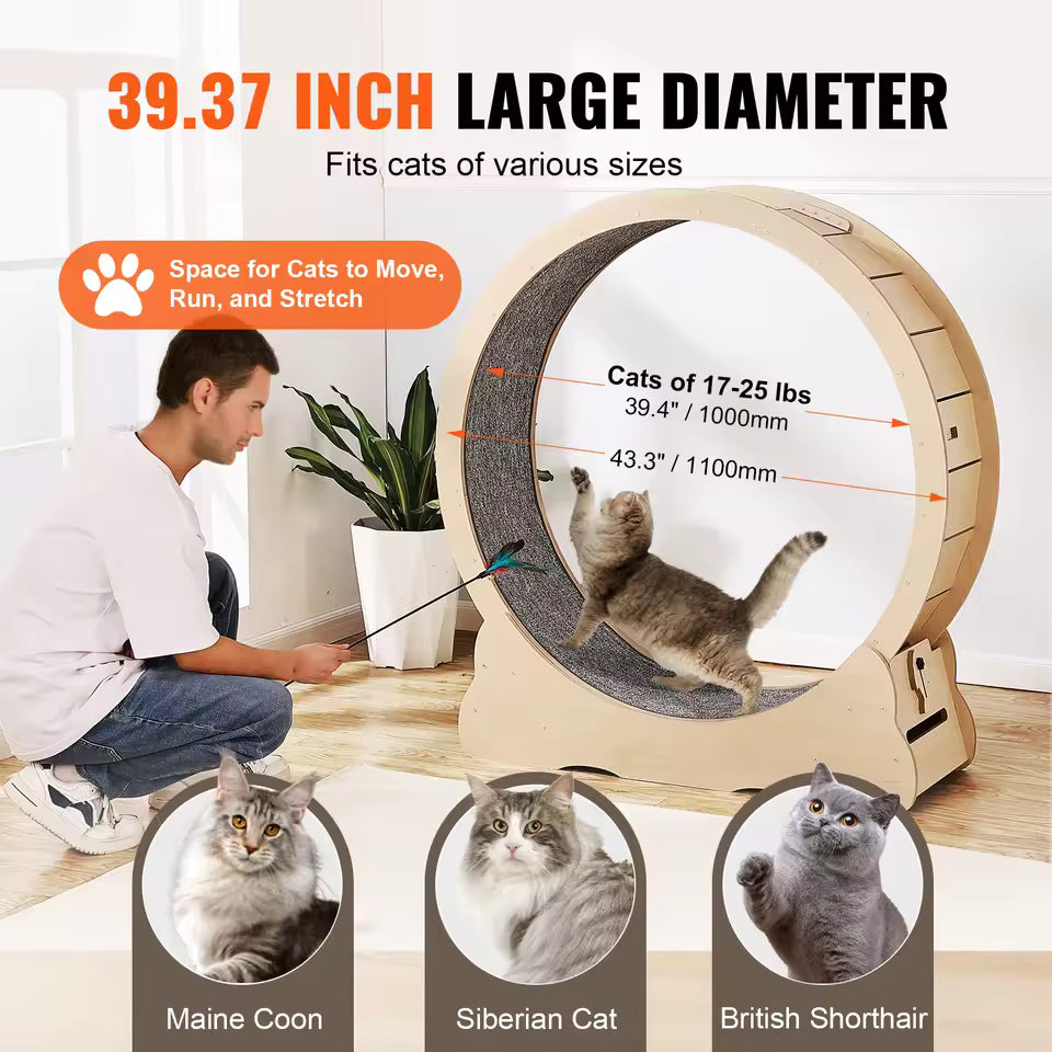 Cat Wooden Treadmill Wheel