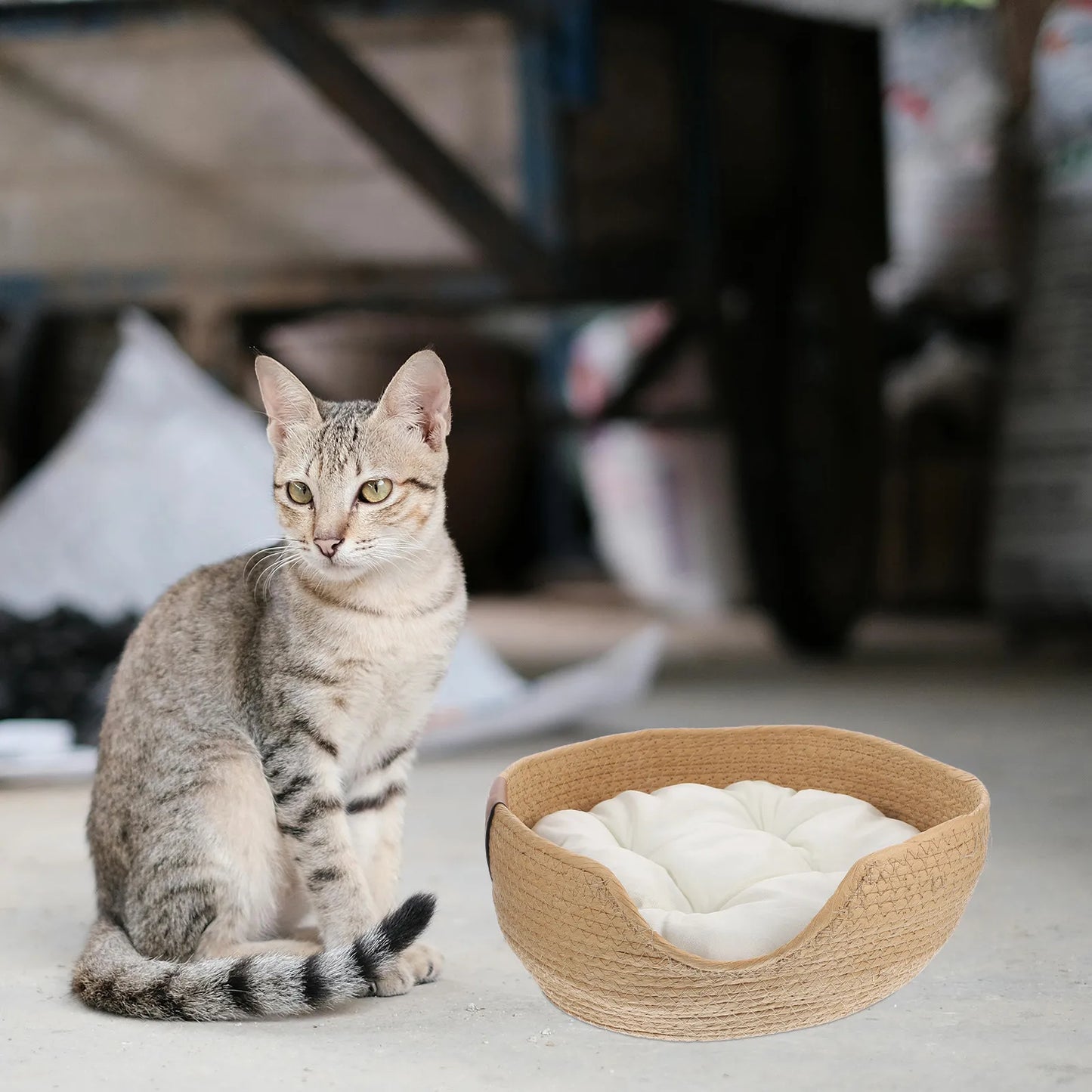 Cat Woven Basket Bed
