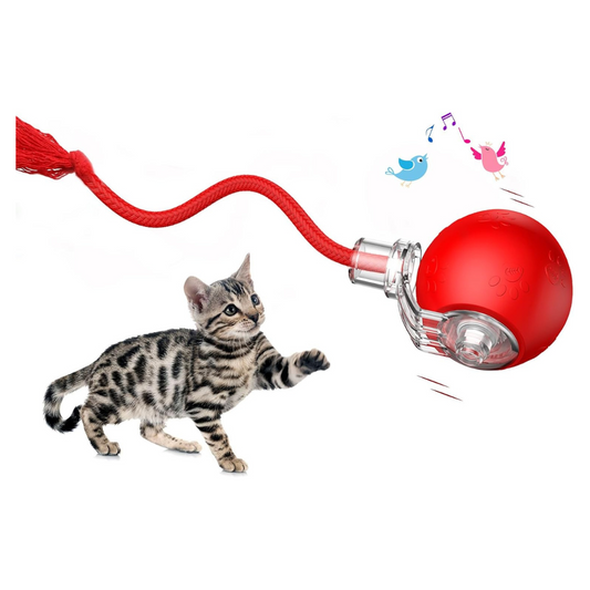Automatic Rolling Ball Cat Toy