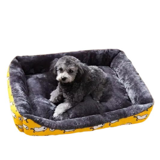Dog lying on a gray pet bed with yellow edges