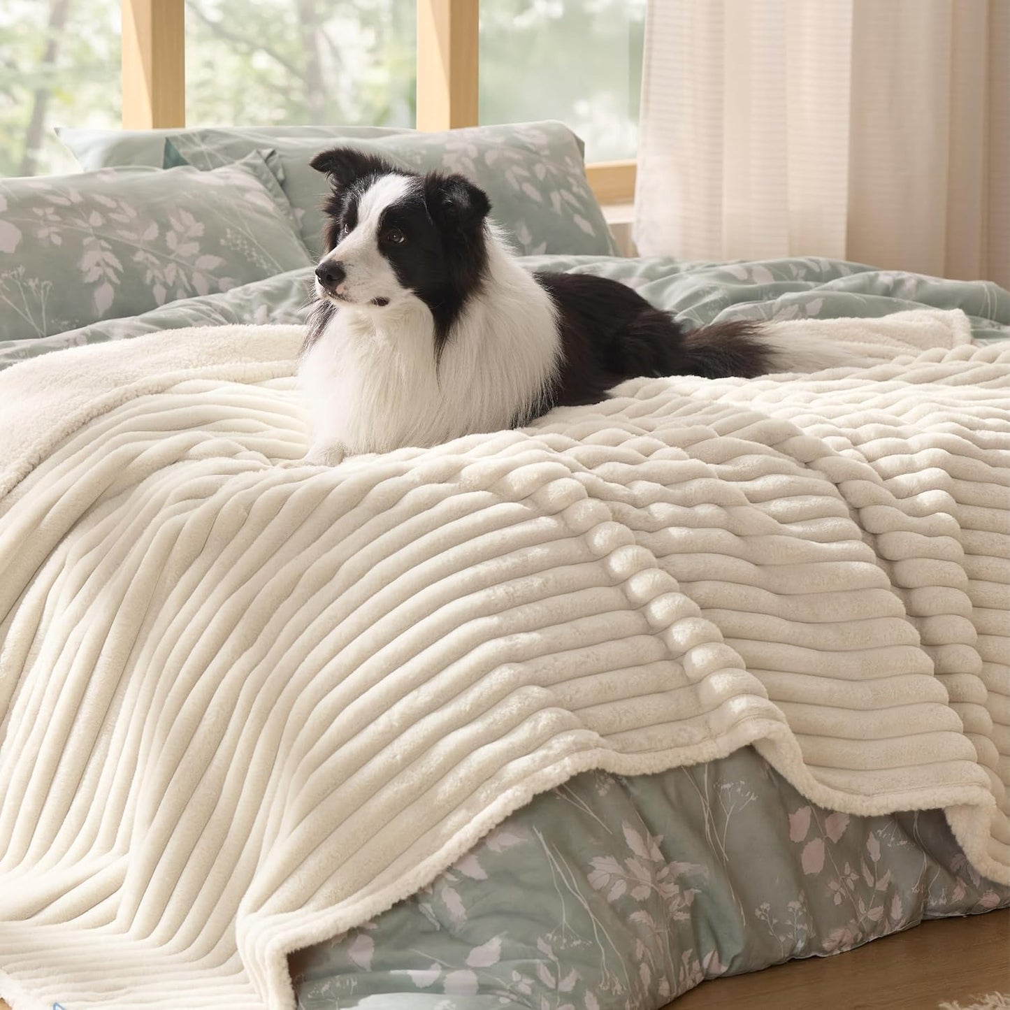 Cream Color Corduroy Fleece Pet Blanket