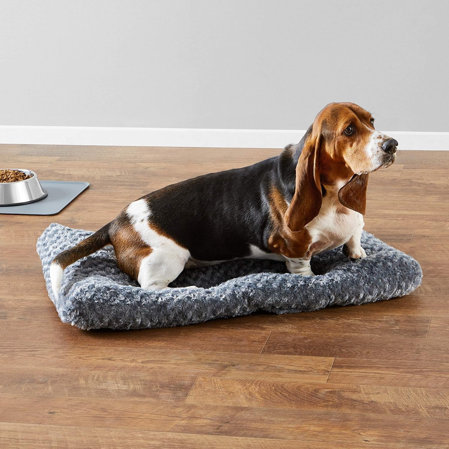 Dog sitting on a gray pet bed in a room with a wooden floor.