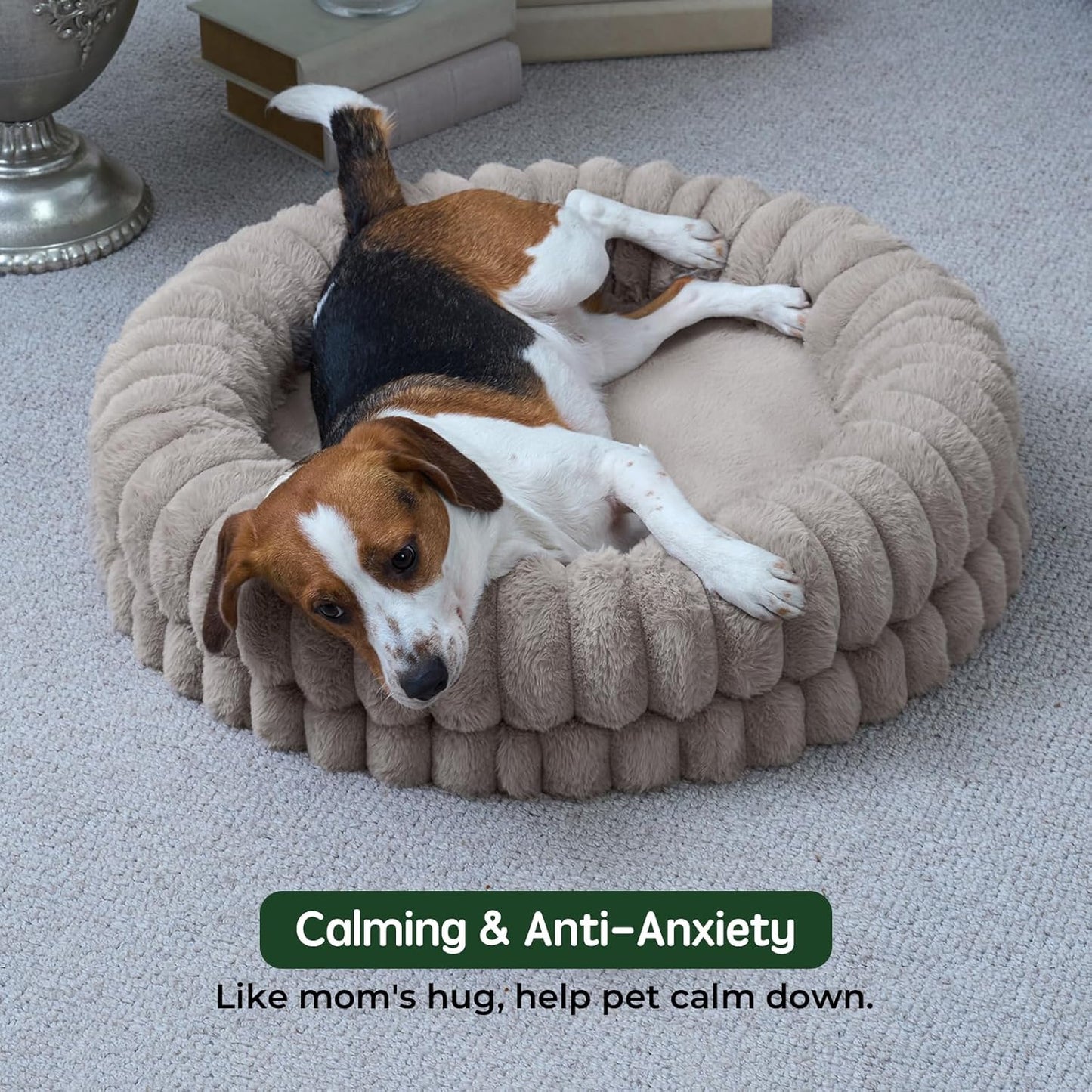 Donut Crochet Dog Bed