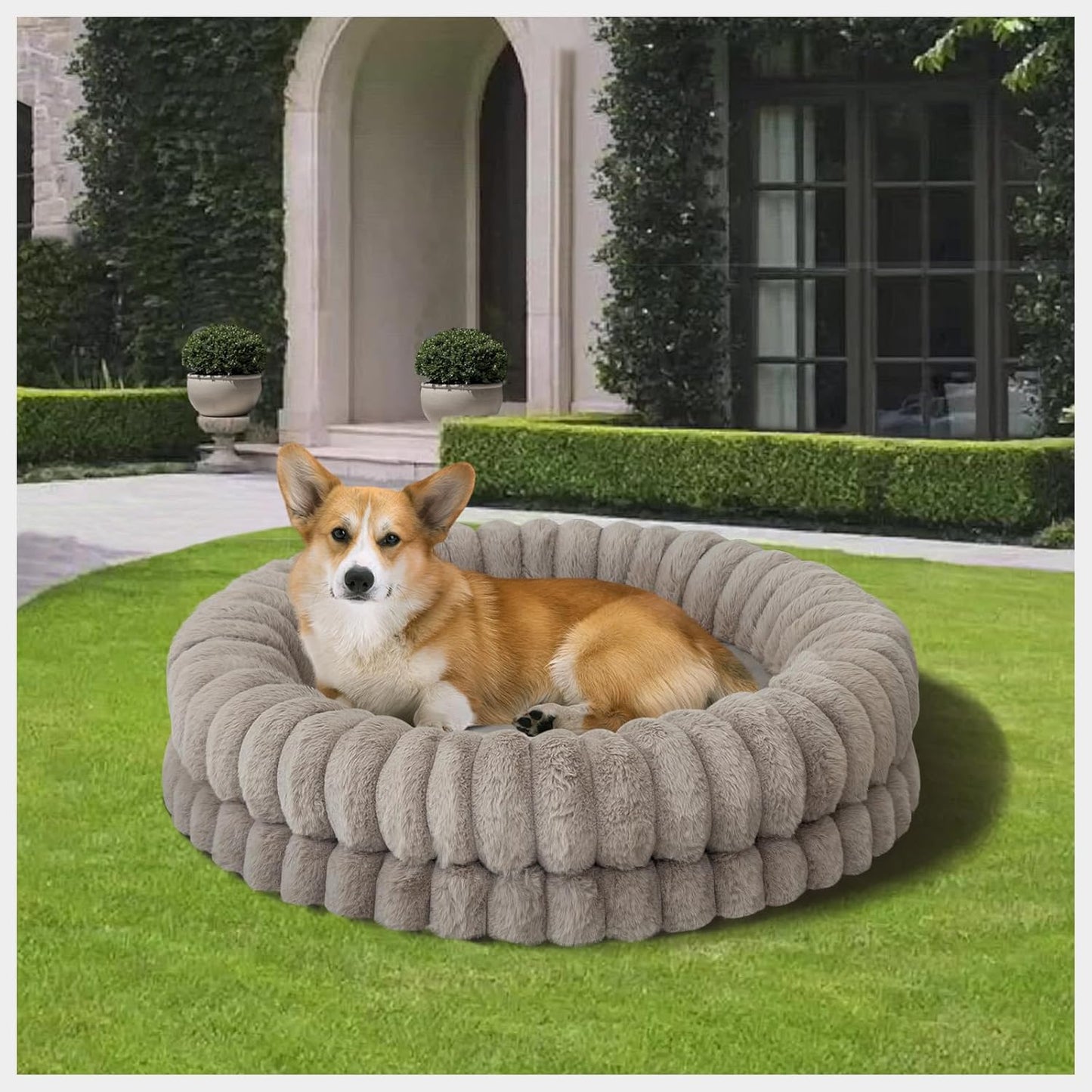 Donut Crochet Dog Bed