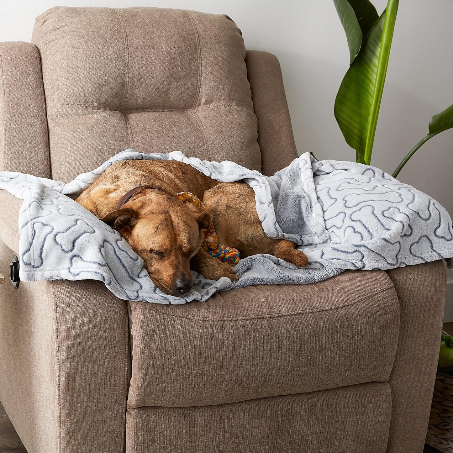 Embossed Bone Print Pet Blanket