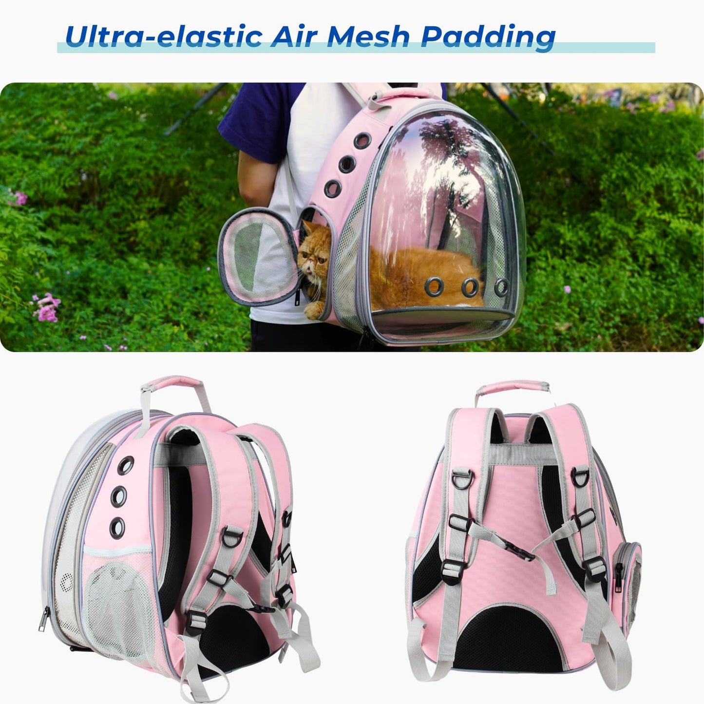 Expandable Bubble Pet Carrier