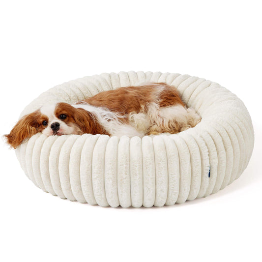 Dog lying on a white plush dog bed against a white background