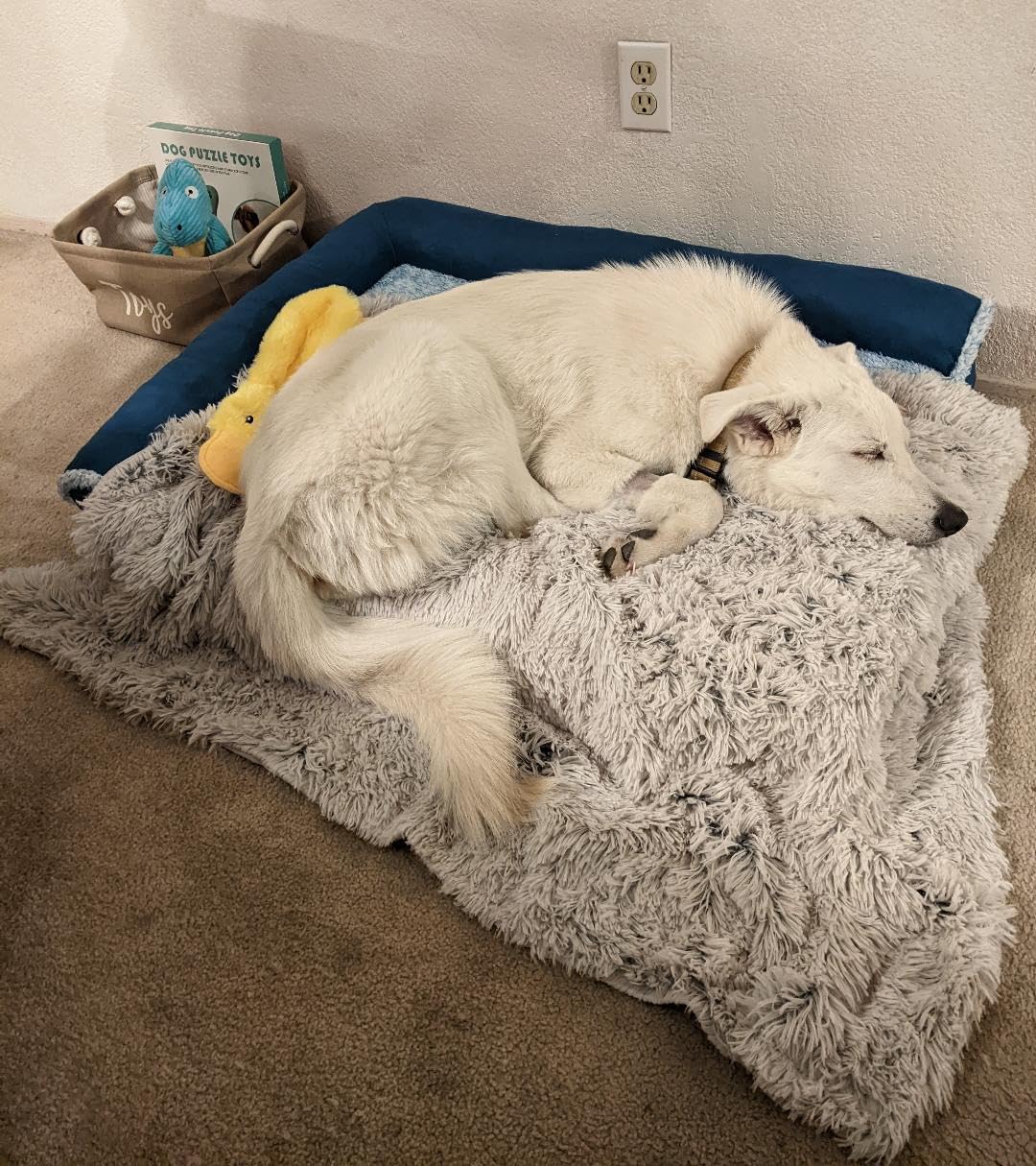 Mist Gray Shaggy Plush Dog Blanket