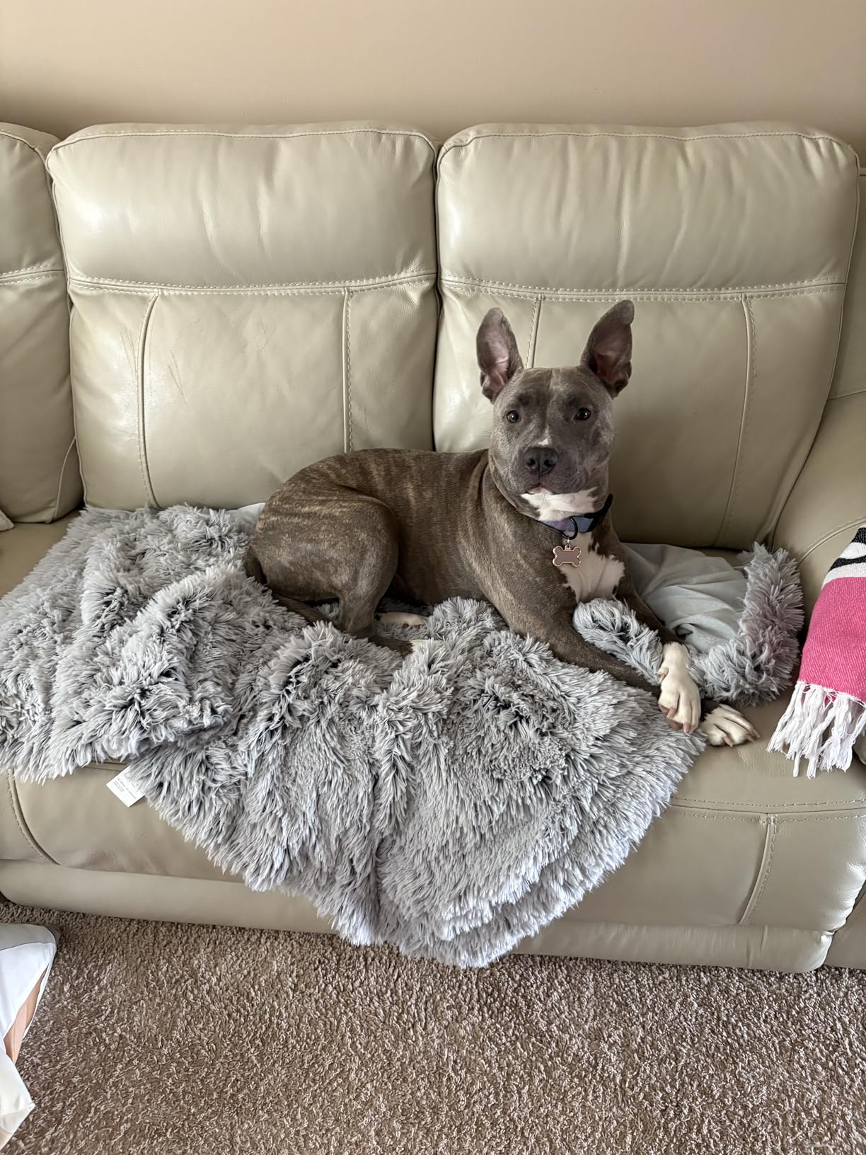 Mist Gray Shaggy Plush Dog Blanket