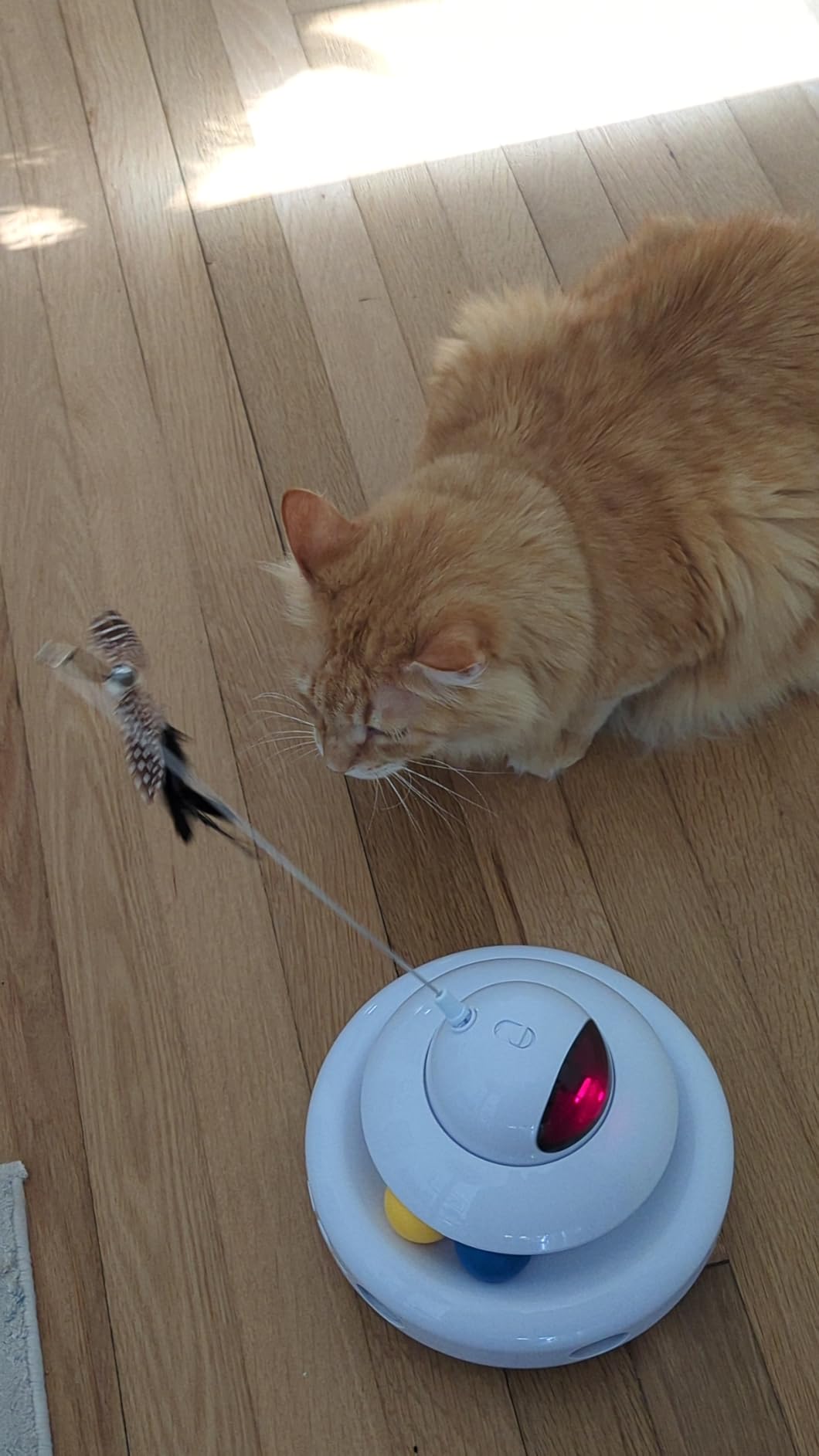 Motion Activated Fluttering Butterfly Cat Toy