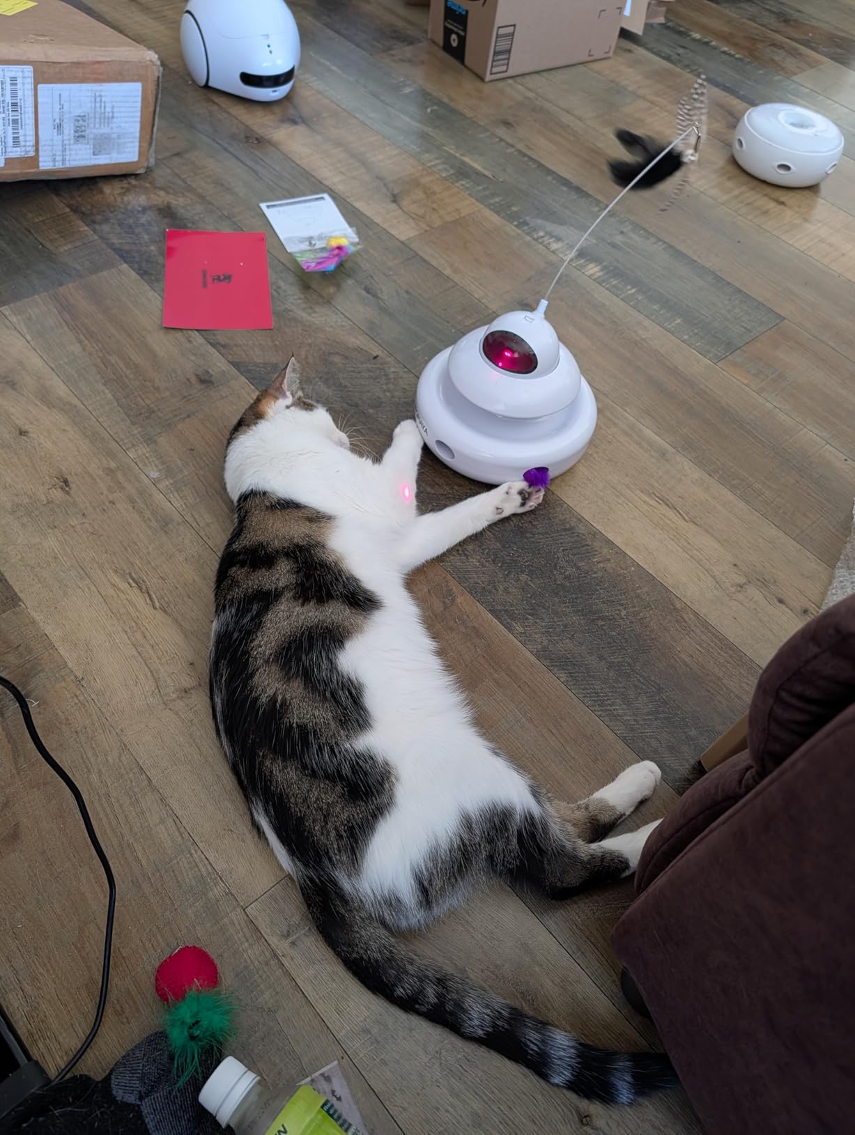 Motion Activated Fluttering Butterfly Cat Toy