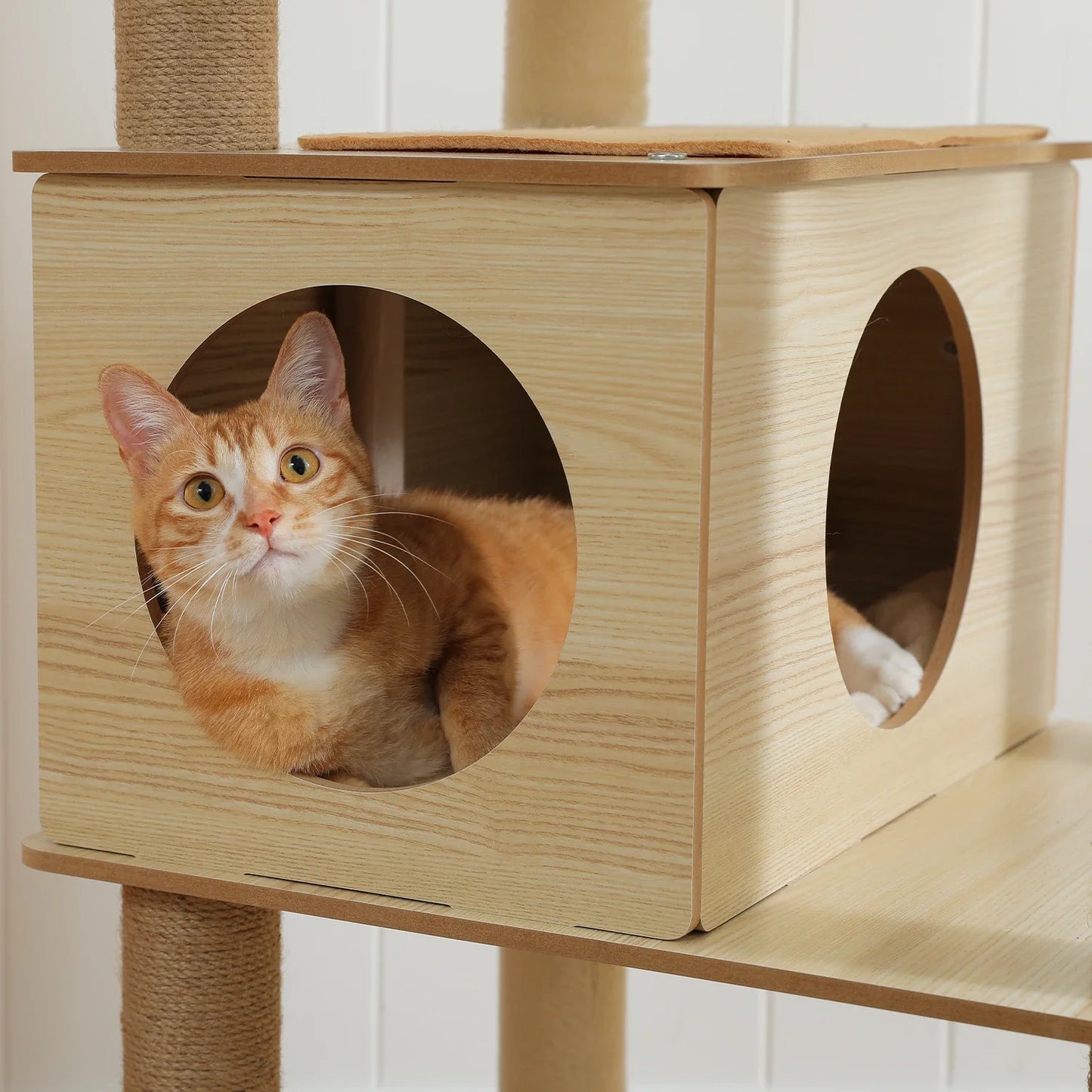 Multi-Level Cat Wooden Tree Condo