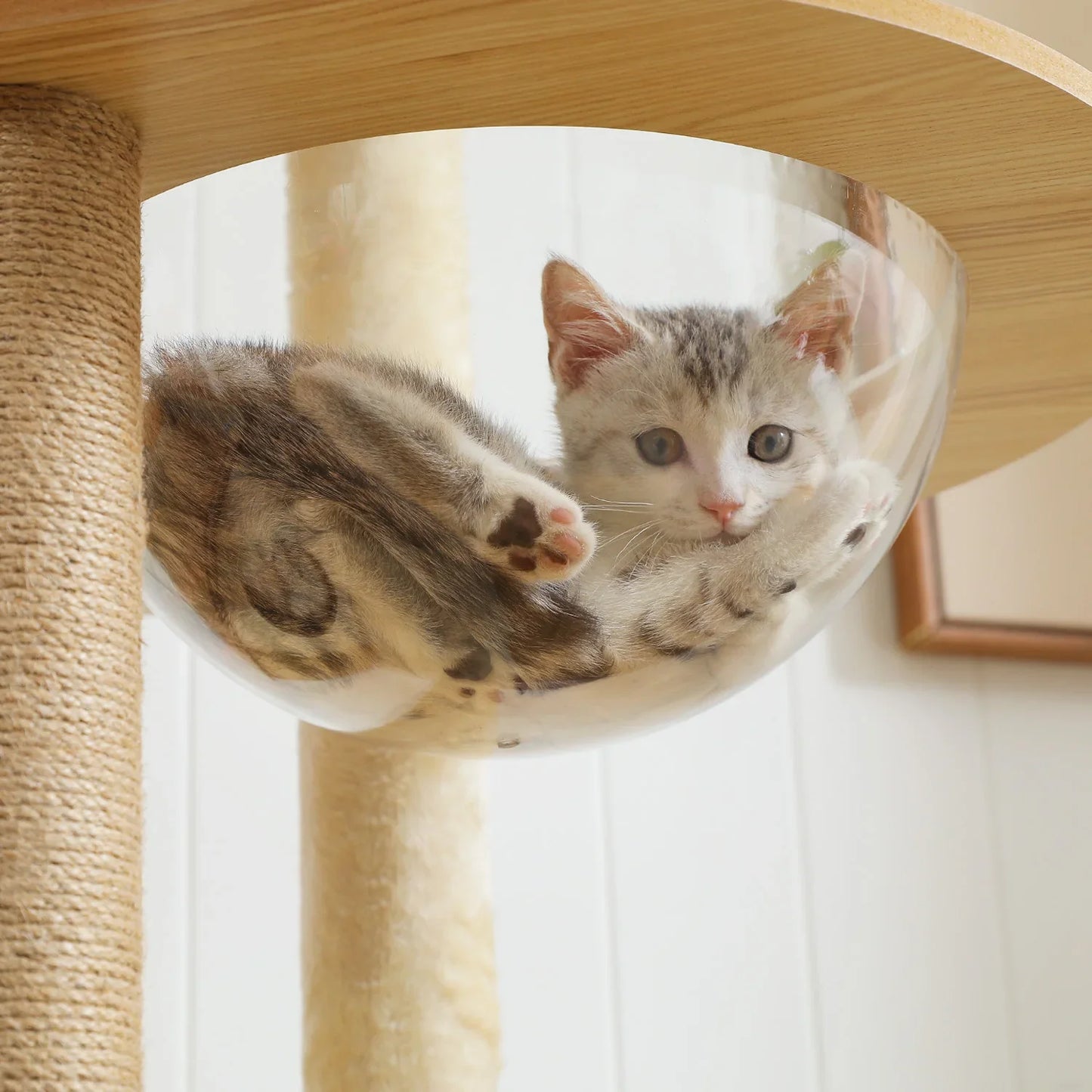 Multi-Level Cat Wooden Tree Condo
