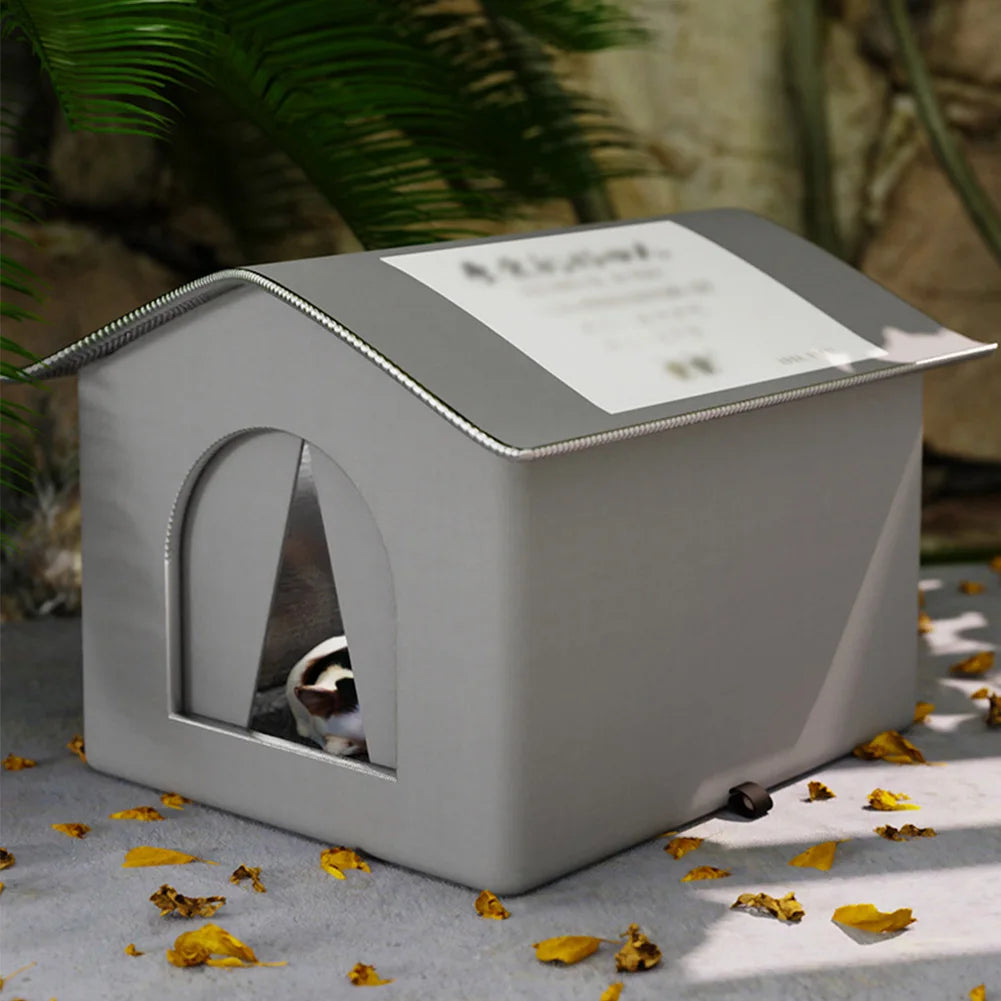 Outdoor Cat Stray Feral House