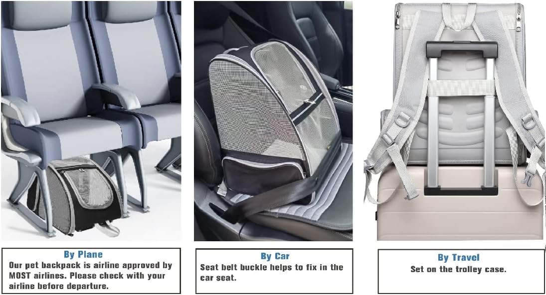 Pet Traveler Bubble Backpack