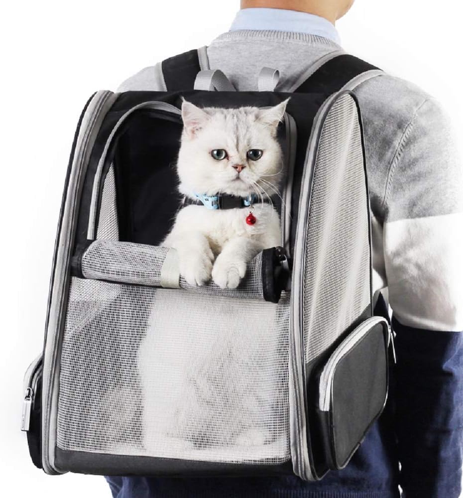Pet Traveler Bubble Backpack