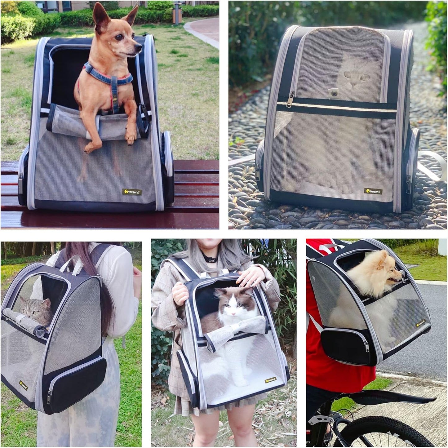 Pet Traveler Bubble Backpack
