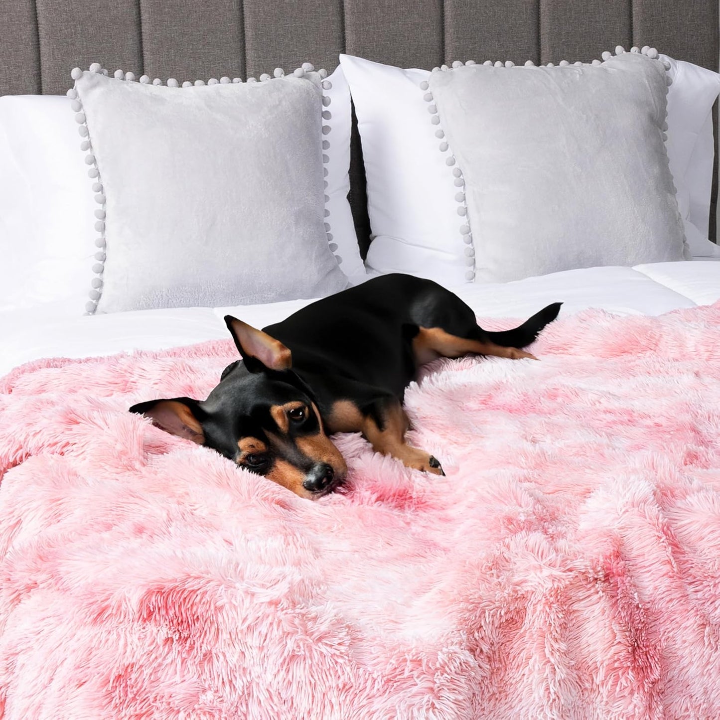 Pink Calming Fleece Pet Blanket