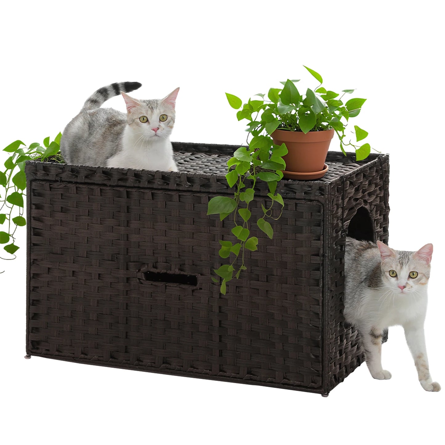 Rattan Cat Litter Box House
