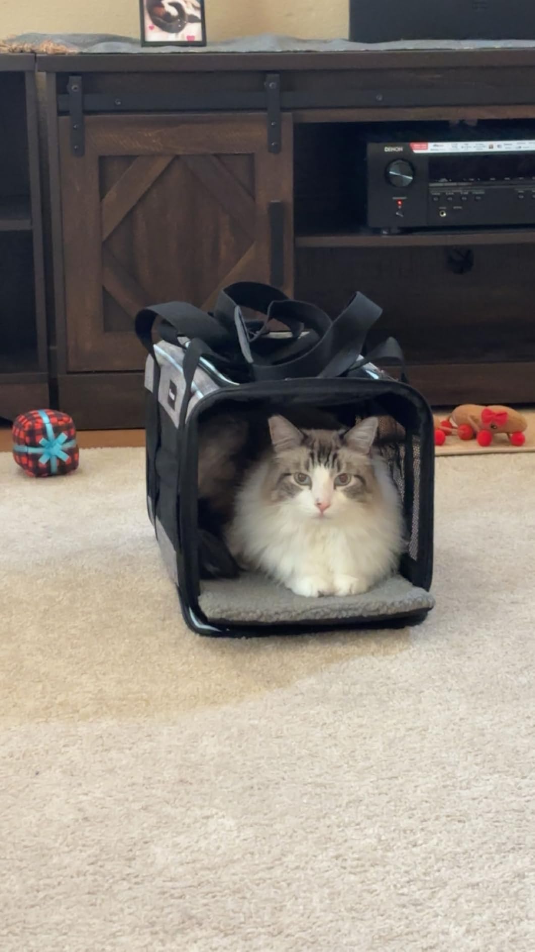 Rectangle Soft-Sided Pet Carrier