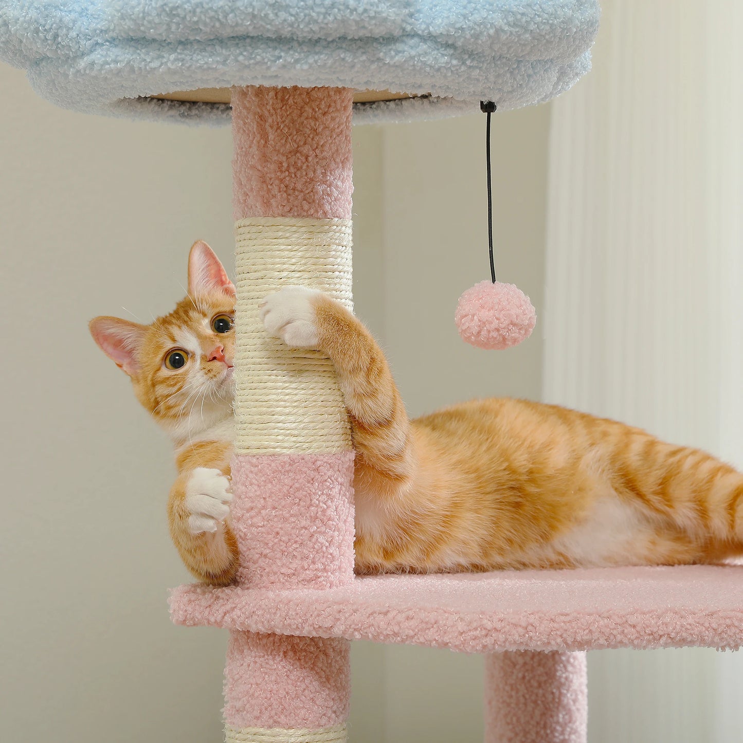 Sisal Covered Scratching Posts Cat Condo