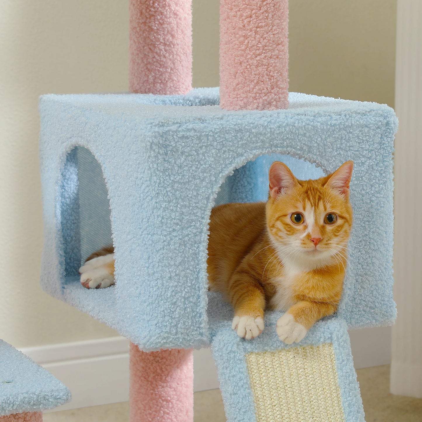 Sisal Covered Scratching Posts Cat Condo
