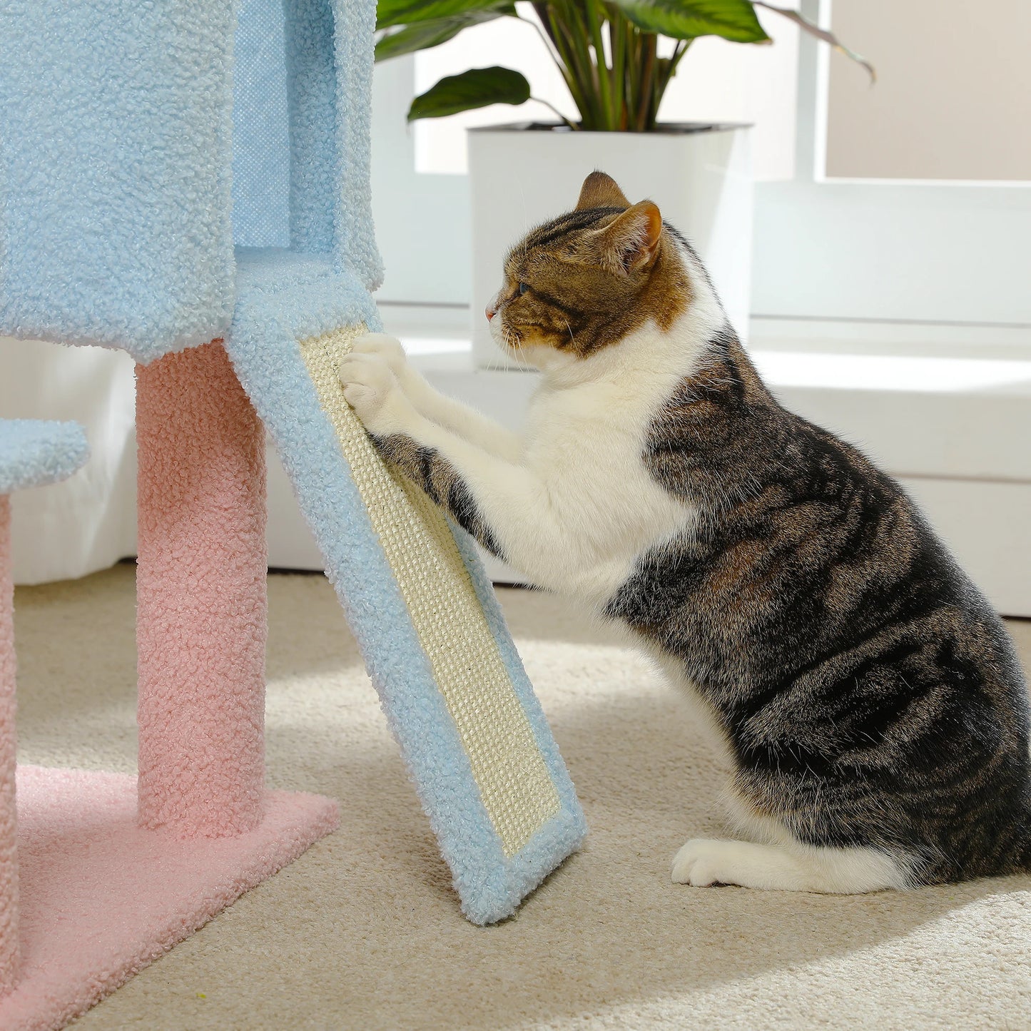 Sisal Covered Scratching Posts Cat Condo